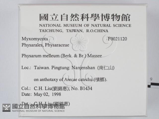 登錄號:F0021120藏品圖，第2張