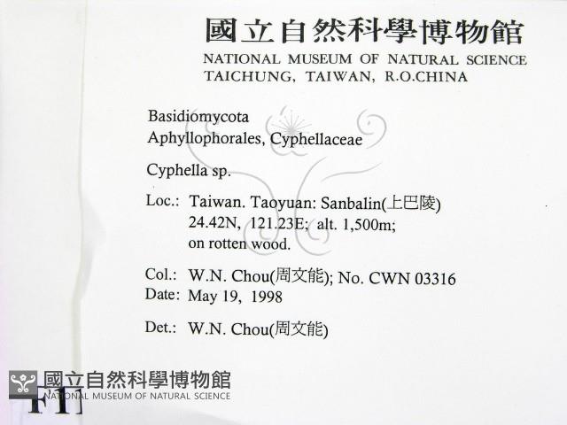 登錄號:F0011120藏品圖，第2張