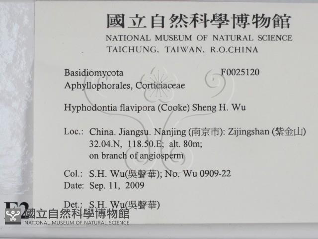 登錄號:F0025120藏品圖，第2張