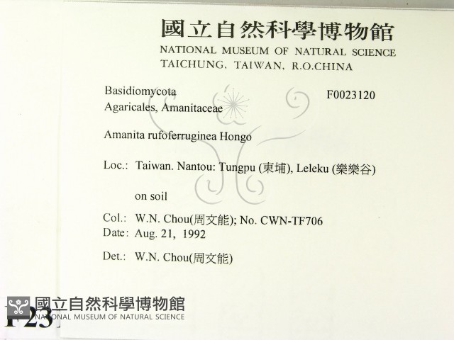 登錄號:F0023120藏品圖，第2張