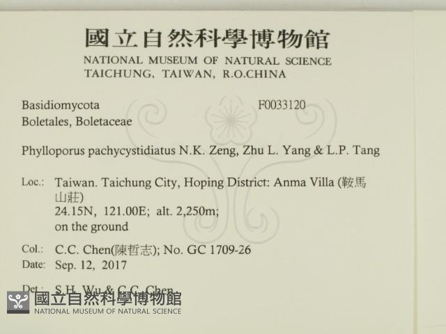 登錄號:F0033120藏品圖，第2張