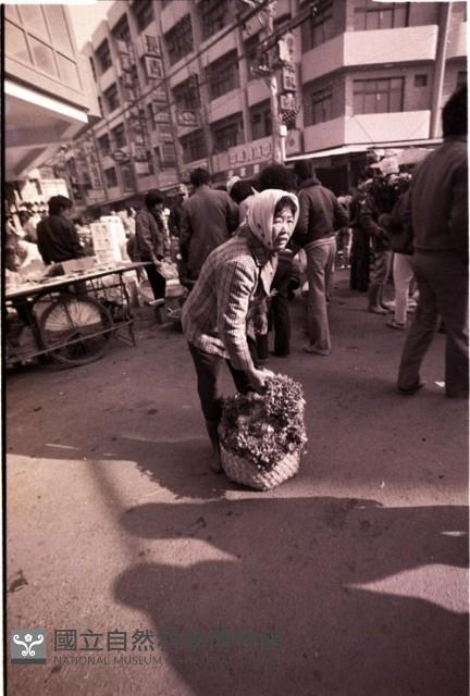 1950至2006年臺灣常民生活藏品圖，第1張