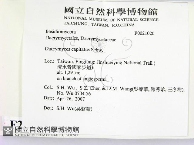 登錄號:F0021020藏品圖，第2張