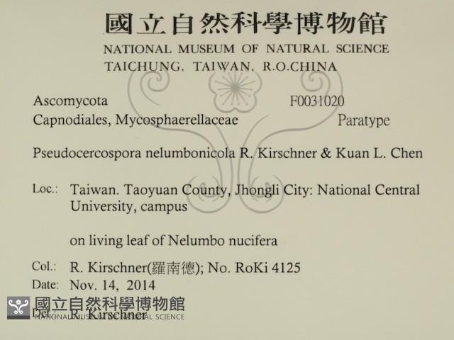 登錄號:F0031020藏品圖，第2張