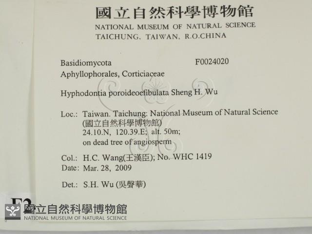 登錄號:F0024020藏品圖，第2張