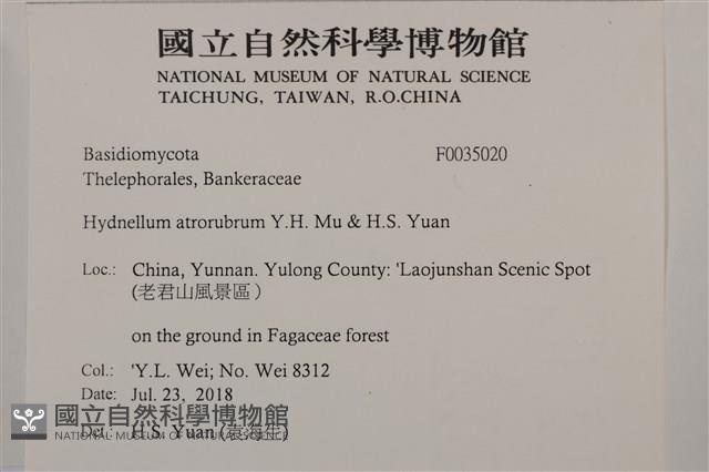登錄號:F0035020藏品圖，第2張