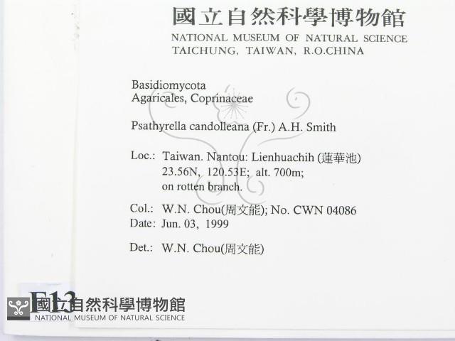 登錄號:F0013020藏品圖，第2張