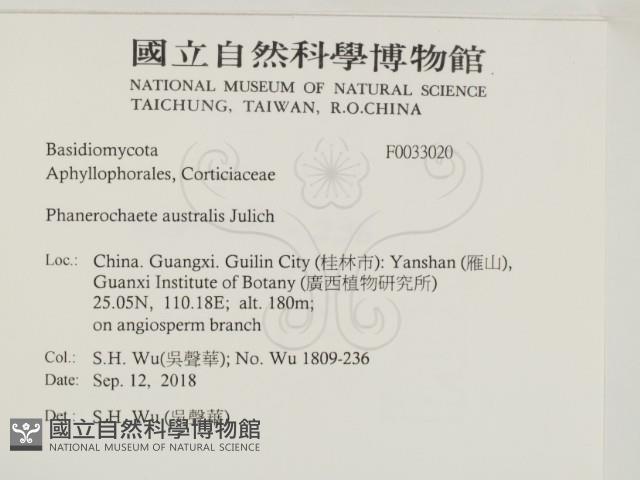 登錄號:F0033020藏品圖，第2張