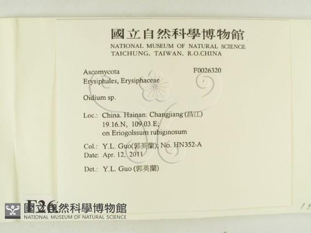 登錄號:F0026320藏品圖，第2張