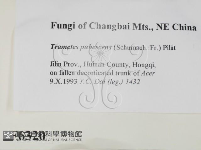 登錄號:F0006320藏品圖，第2張