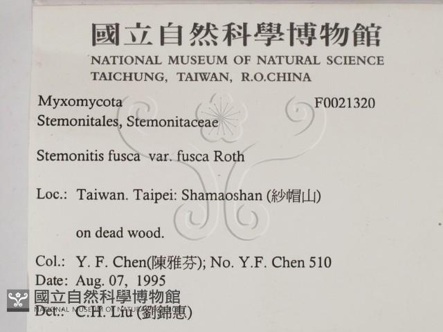 登錄號:F0021320藏品圖，第2張