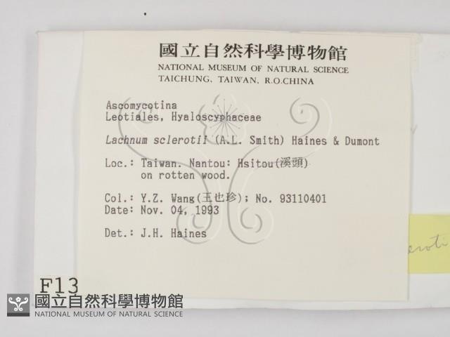登錄號:F0001320藏品圖，第2張