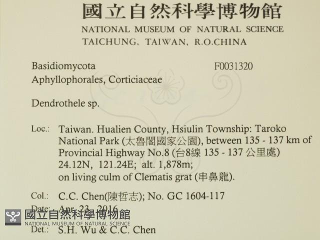 登錄號:F0031320藏品圖，第2張