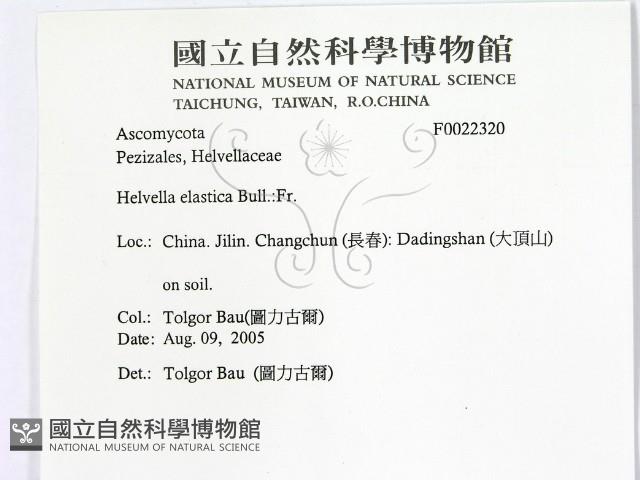 登錄號:F0022320藏品圖，第2張