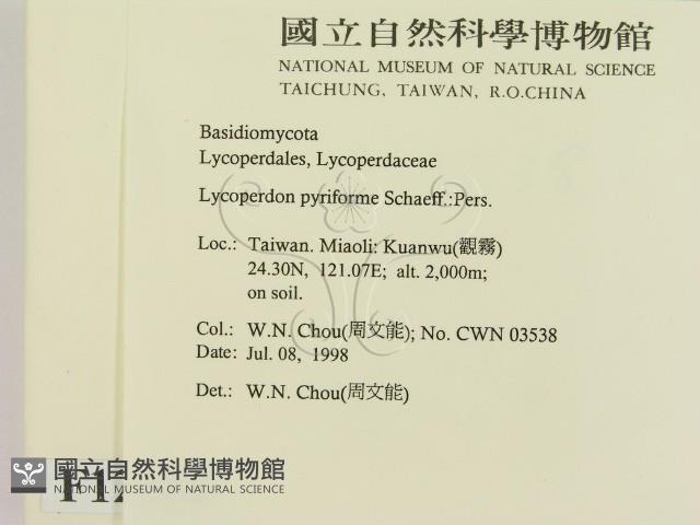 登錄號:F0012320藏品圖，第2張