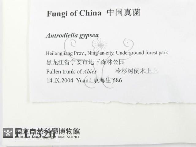 登錄號:F0017320藏品圖，第2張