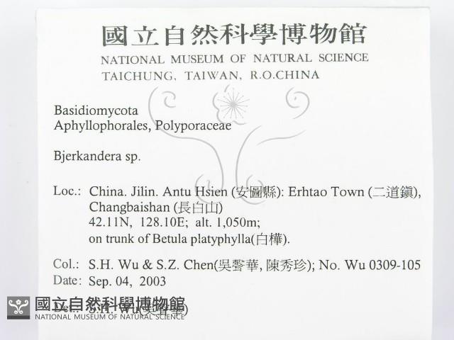 登錄號:F0015320藏品圖，第2張