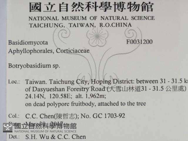 登錄號:F0031200藏品圖，第2張