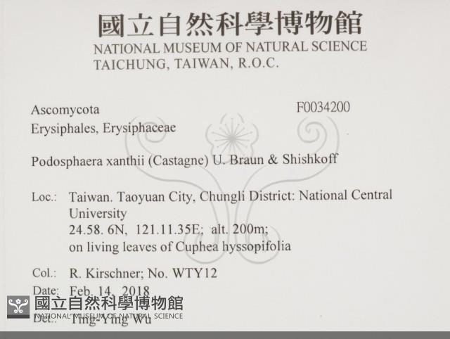 登錄號:F0034200藏品圖，第2張