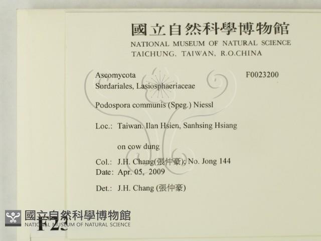 登錄號:F0023200藏品圖，第2張