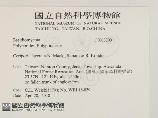 登錄號:F0033200藏品圖，第2張