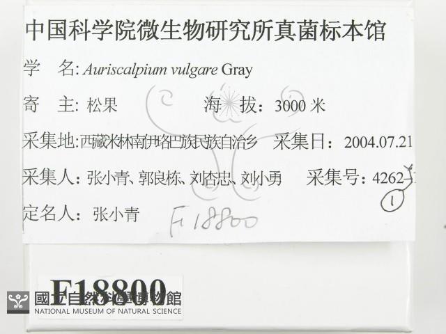 登錄號:F0018800藏品圖，第2張