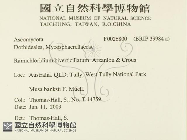 登錄號:F0026800藏品圖，第2張