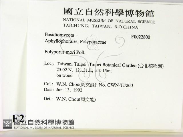 登錄號:F0022800藏品圖，第2張