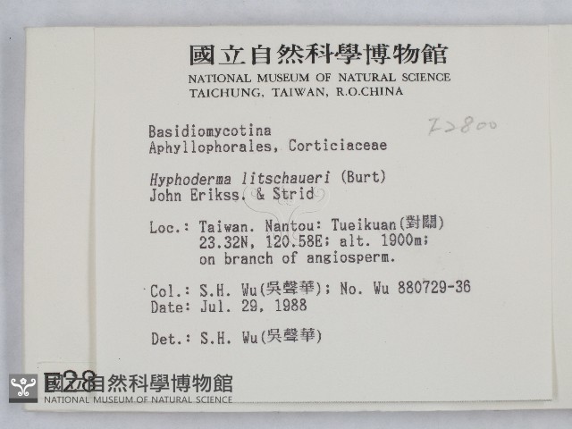 登錄號:F0002800藏品圖，第2張
