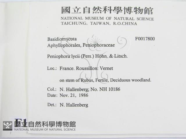 登錄號:F0017800藏品圖，第2張