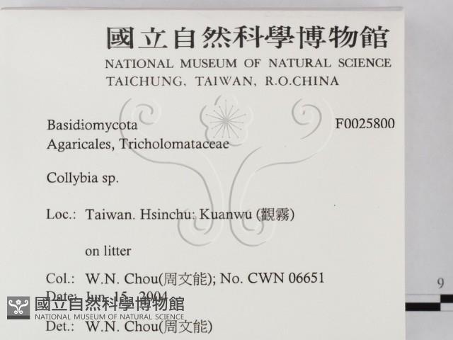 登錄號:F0025800藏品圖，第2張
