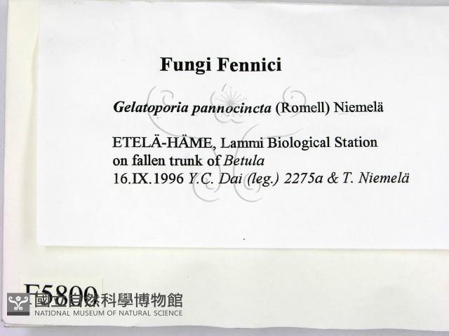 登錄號:F0005800藏品圖，第2張