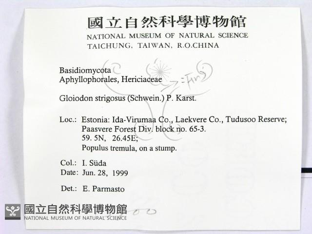 登錄號:F0015800藏品圖，第2張