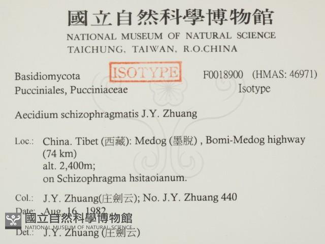 登錄號:F0019800藏品圖，第2張