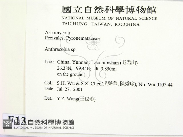 登錄號:F0013800藏品圖，第2張