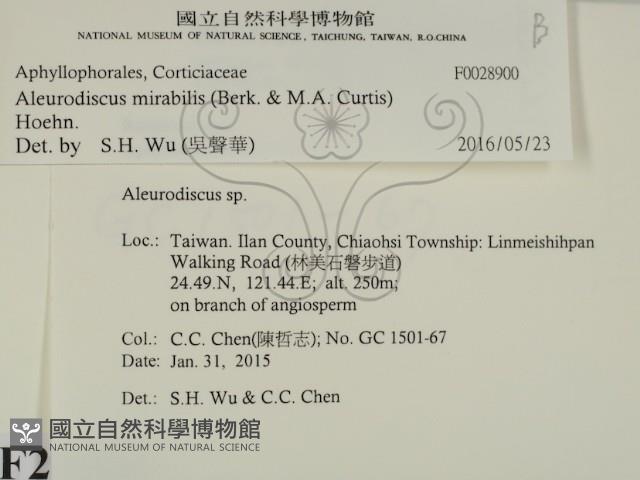 登錄號:F0028900藏品圖，第2張