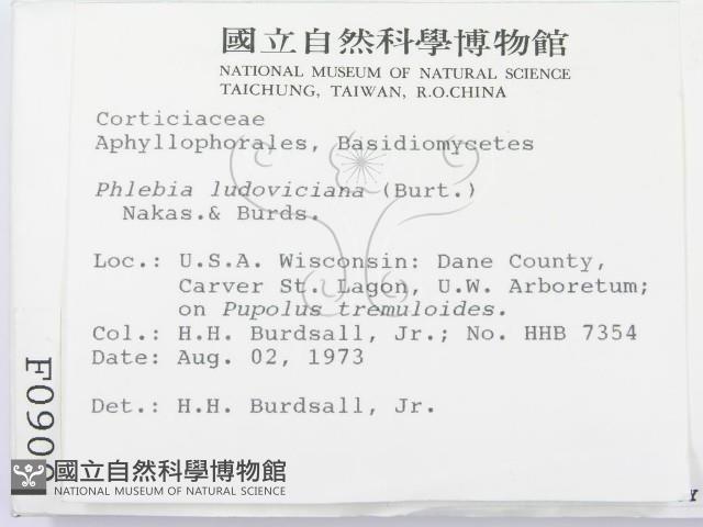 登錄號:F0000900藏品圖，第2張