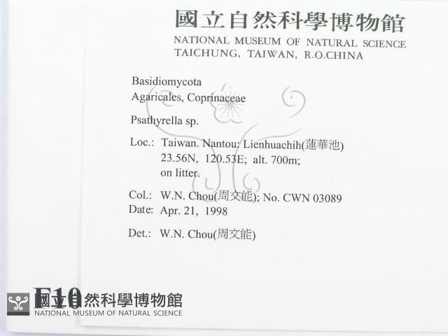 登錄號:F0010900藏品圖，第2張