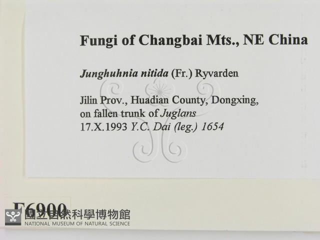 登錄號:F0006900藏品圖，第2張