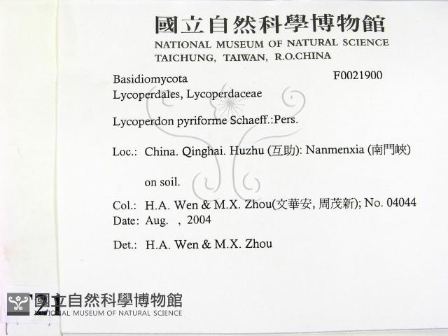 登錄號:F0021900藏品圖，第2張