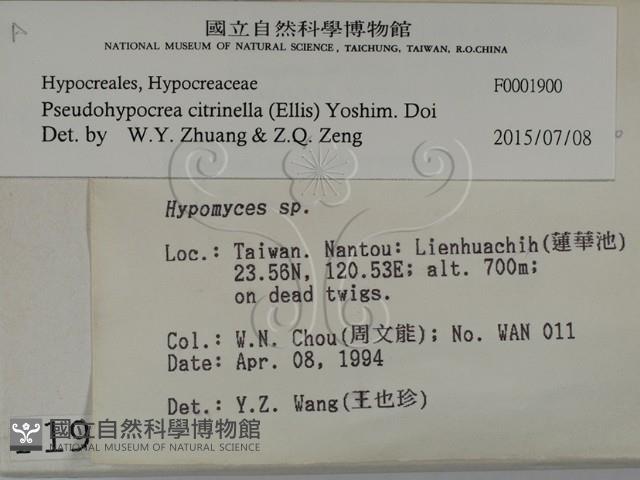 登錄號:F0001900藏品圖，第2張