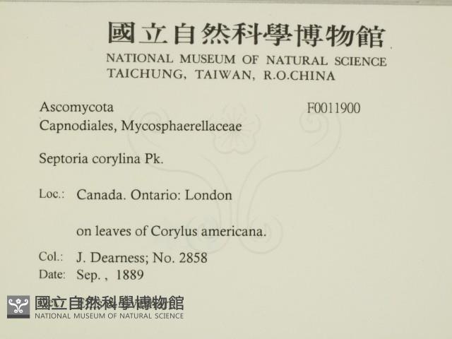 登錄號:F0011900藏品圖，第2張