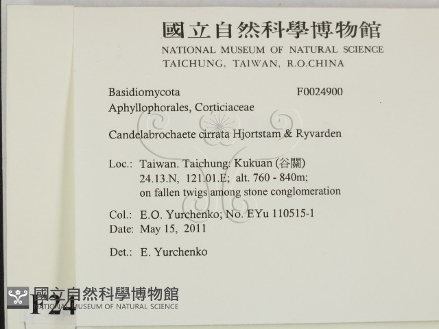登錄號:F0024900藏品圖，第2張