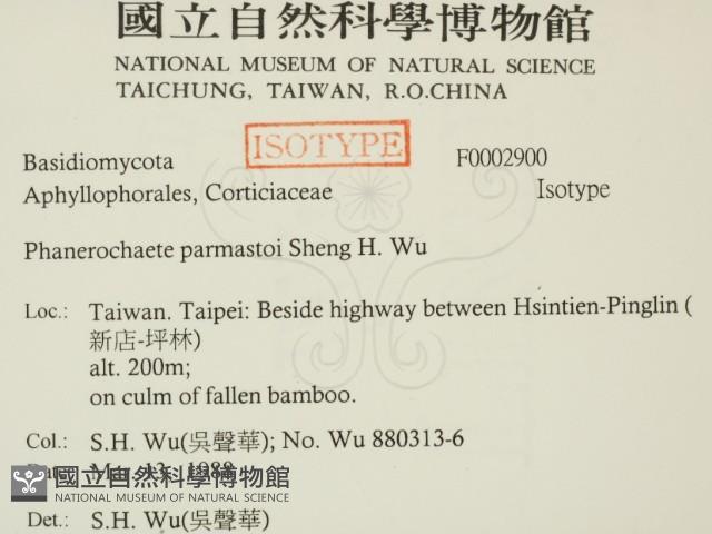 登錄號:F0002900藏品圖，第2張