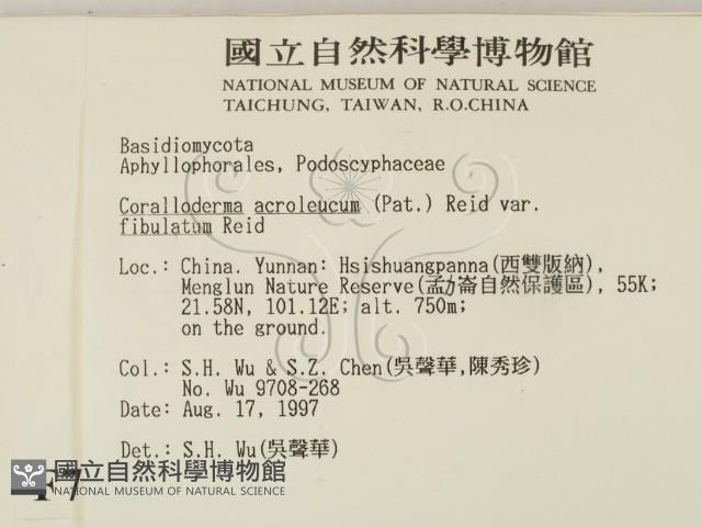 登錄號:F0007900藏品圖，第2張