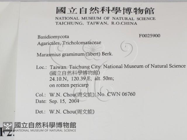 登錄號:F0025900藏品圖，第2張