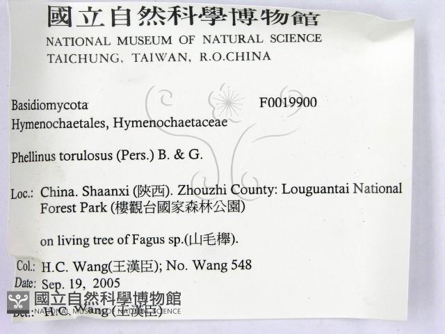登錄號:F0019900藏品圖，第2張