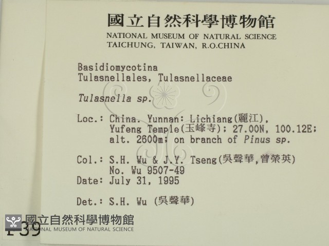 登錄號:F0003900藏品圖，第2張