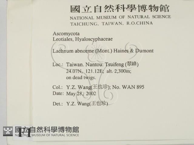 登錄號:F0013900藏品圖，第2張