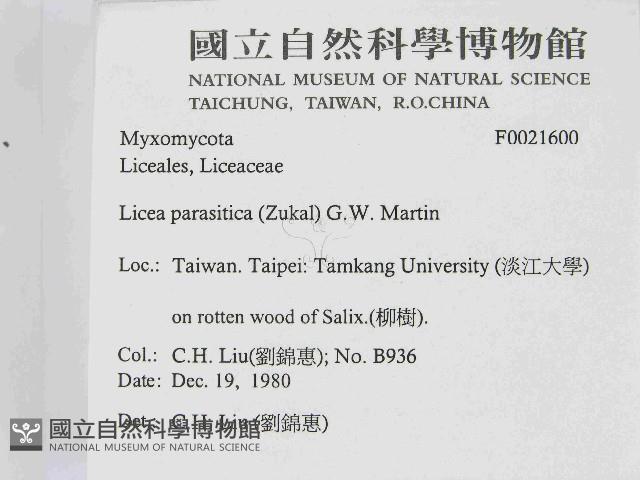 登錄號:F0021600藏品圖，第2張